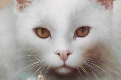 IMG-20220409-WA0010