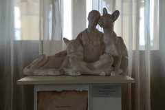 IMG-20220409-WA0022